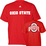 T-Shirts featuring your favorite College or Pro Sports Team