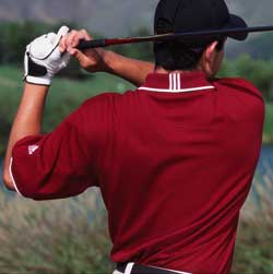 Adidas Golf Shirts